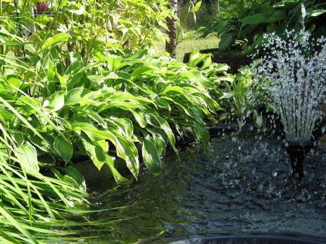 Kuva suihkul�hteest�